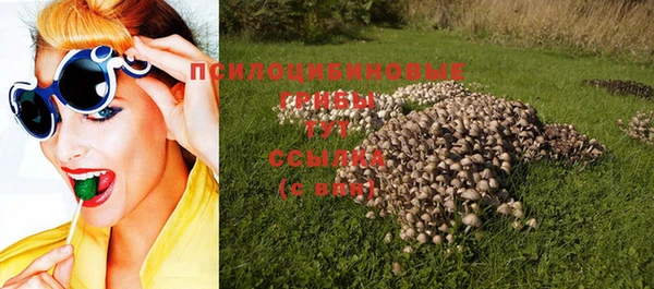 ECSTASY Волосово