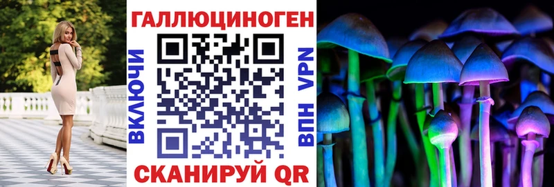Псилоцибиновые грибы Psilocybe  Купить где  Чебаркуль 