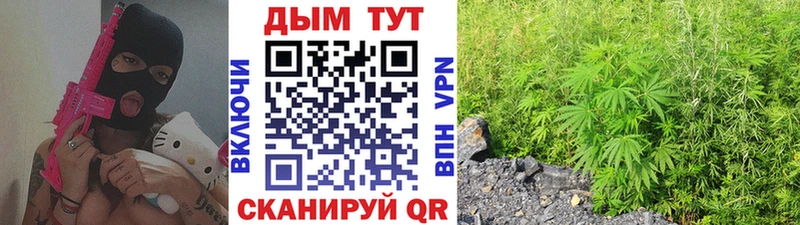 Шишки марихуана семена  Купить где  Чебаркуль 
